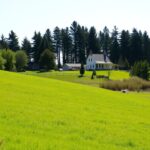 na co zwrócić uwagę przy zakupie działki