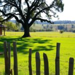 Ile kosztuje ar działki budowlanej – aktualne ceny w Polsce ile kosztuje ar działki budowlanej