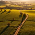 Jak podzielić działkę rolną – procedura krok po kroku Jak podzielić działkę rolną