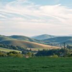 Jak sprawdzić status działki