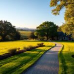 Działka siedliskowa – co to znaczy