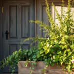 Jak zamaskować drzwi